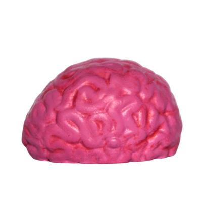 Dummy Brain