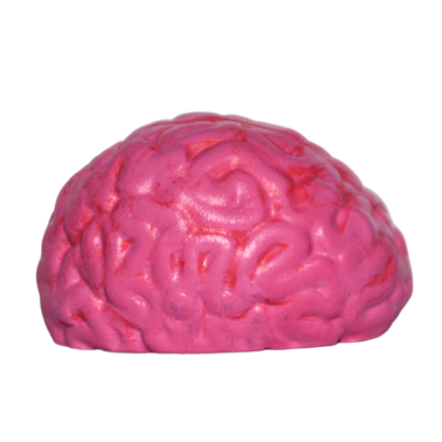 Dummy Brain