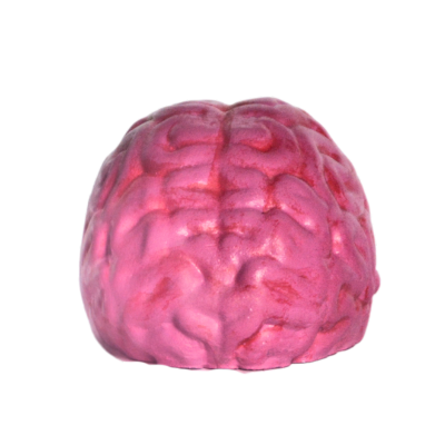 Dummy Brain